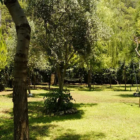 מלון Dalos 2*