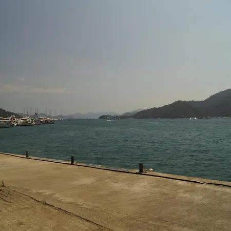 Dalos 2*