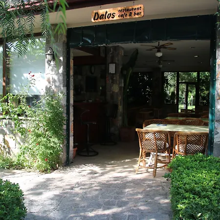 Dalos גוג'ק