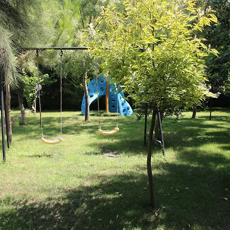 Dalos מלון 2*