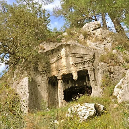 Dalos 2* גוג'ק