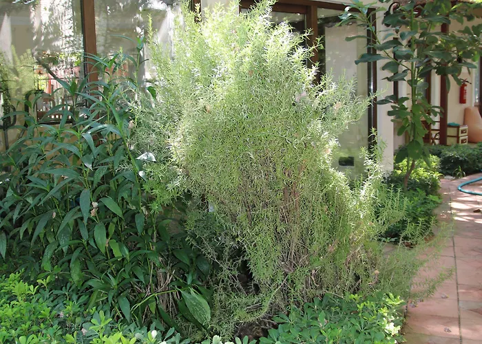 Dalos Ξενοδοχείο