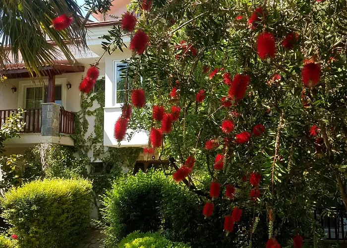 Dalos Ξενοδοχείο